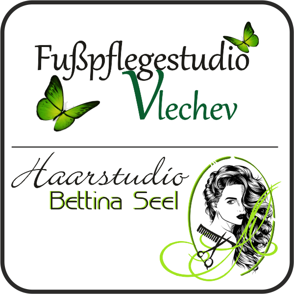 <img src="vlechev-seel.png" alt="Logo Vlechev Seel">